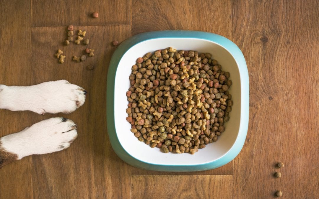 FDA Update on “Grain-free” Diets and Once Proposed Link to Heart Disease in Dogs
